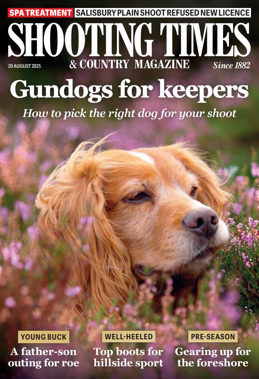 Shooting Times & Country Preview Pages