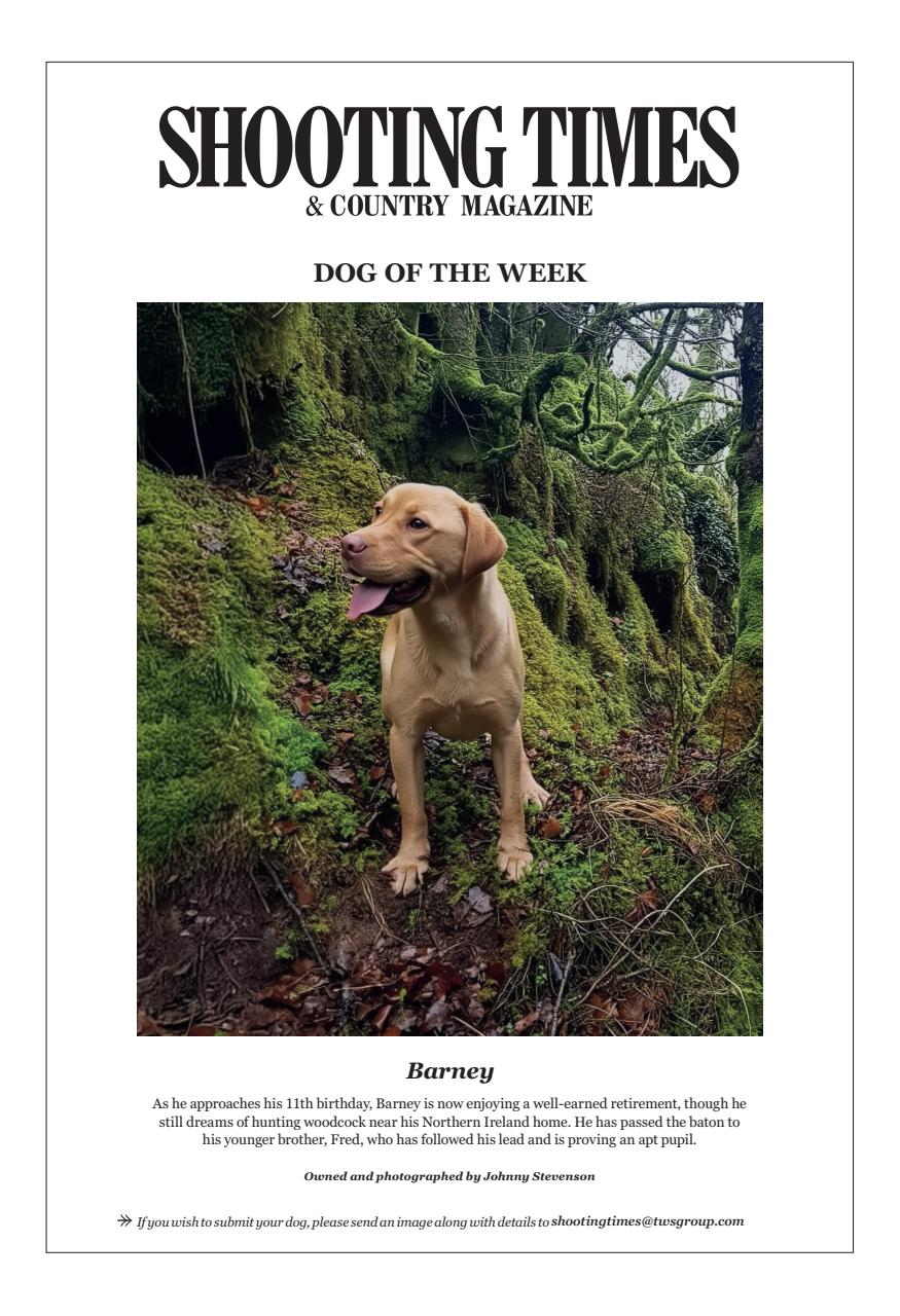 Shooting Times & Country Preview Pages