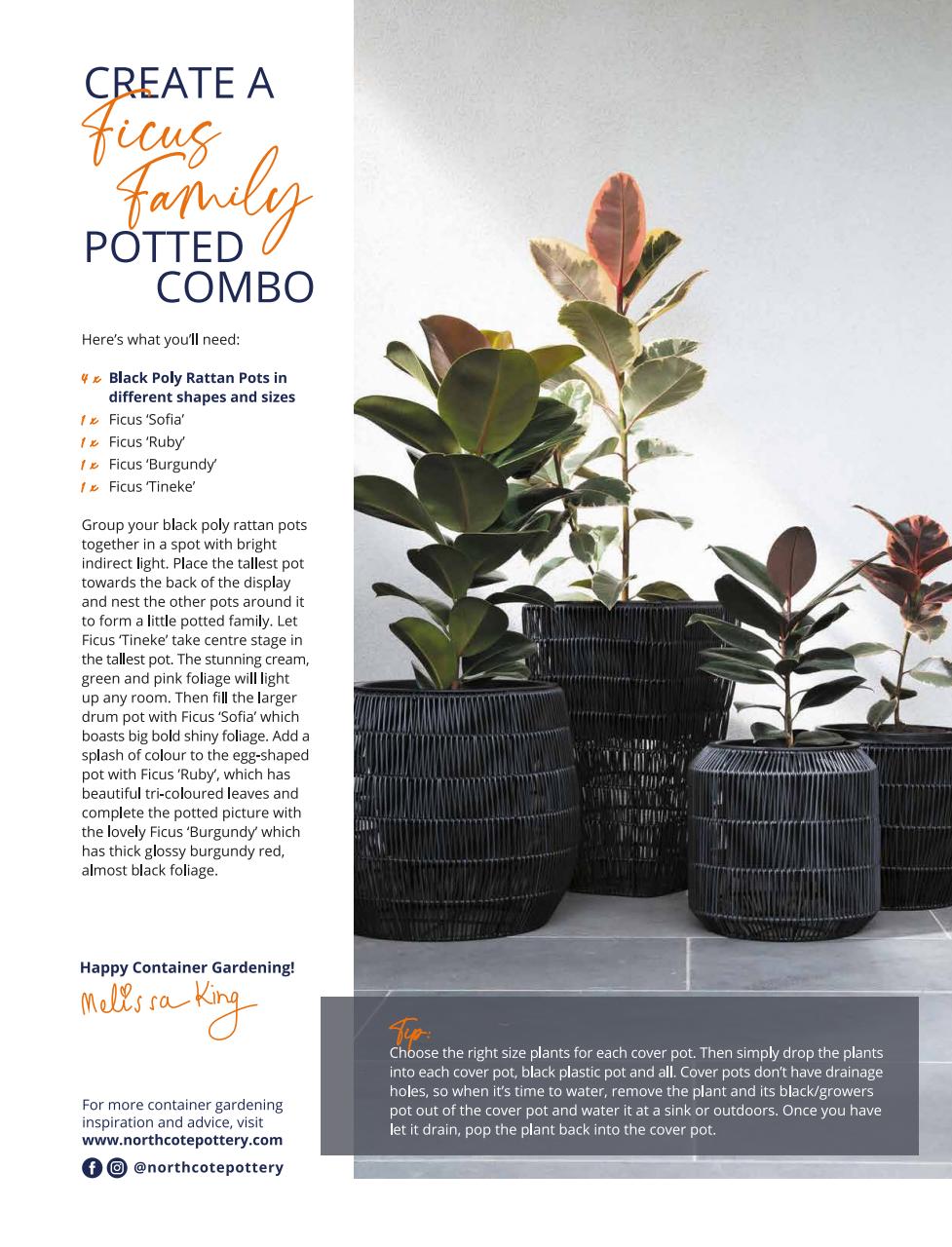 Better Homes and Gardens (Aus) Preview Pages