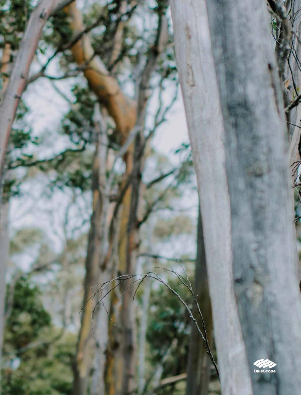 Better Homes and Gardens (Aus) Preview Pages