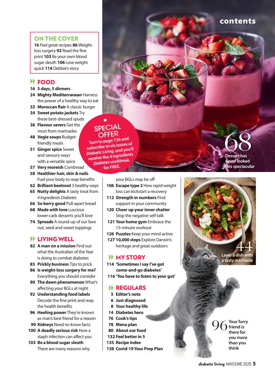 Diabetic Living Preview Pages