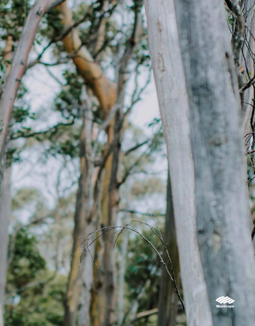 Australian House and Garden Preview Pages