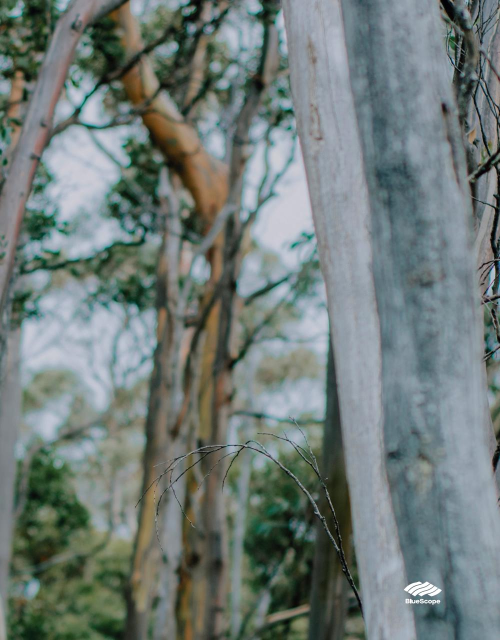 Home Beautiful Preview Pages