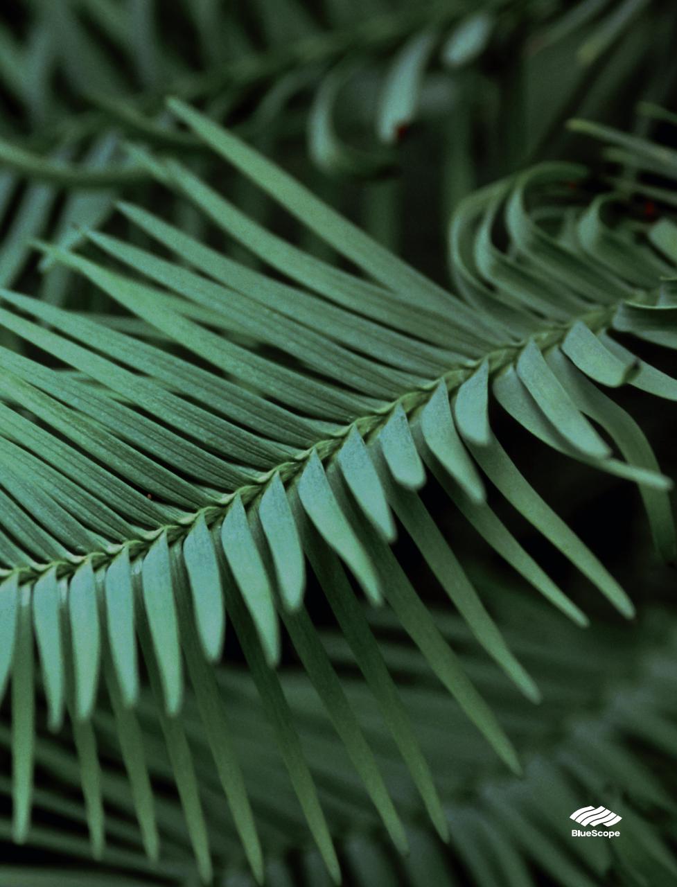 Better Homes and Gardens (Aus) Preview Pages