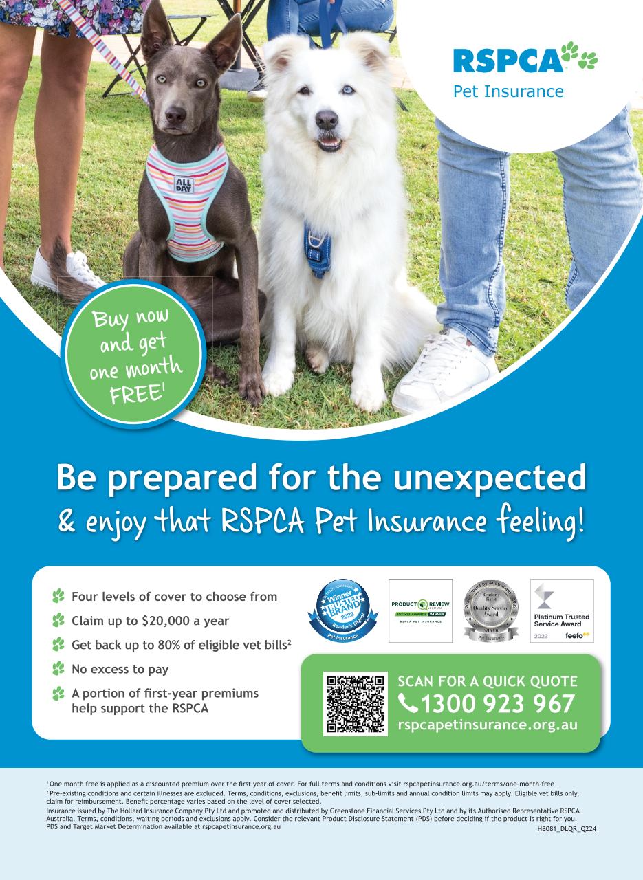 Diabetic Living Preview Pages