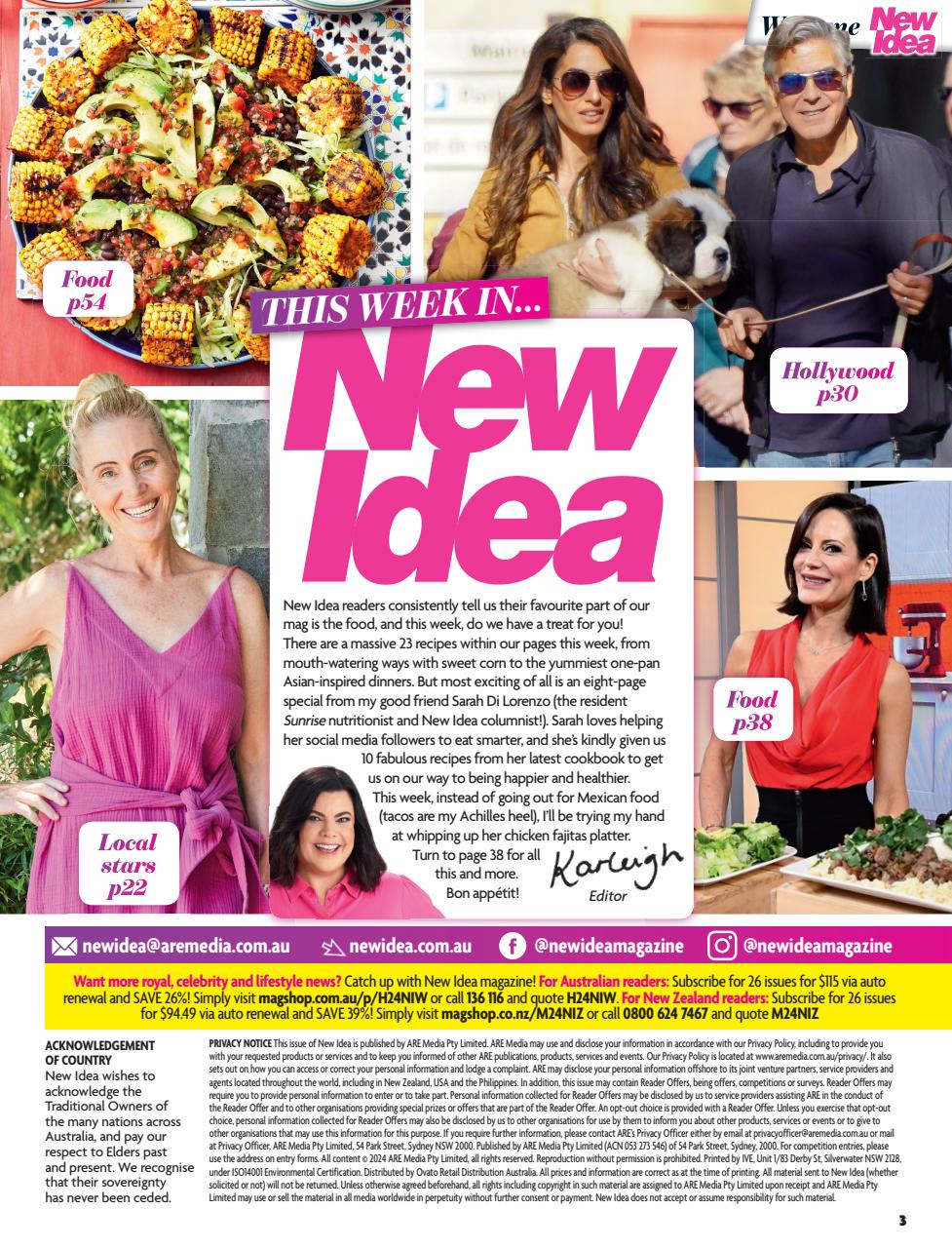 New Idea Preview Pages