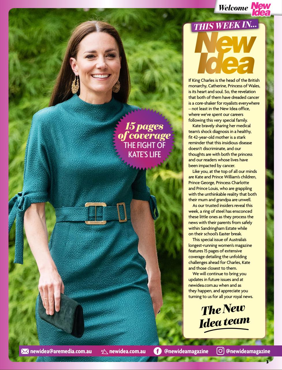 New Idea Preview Pages