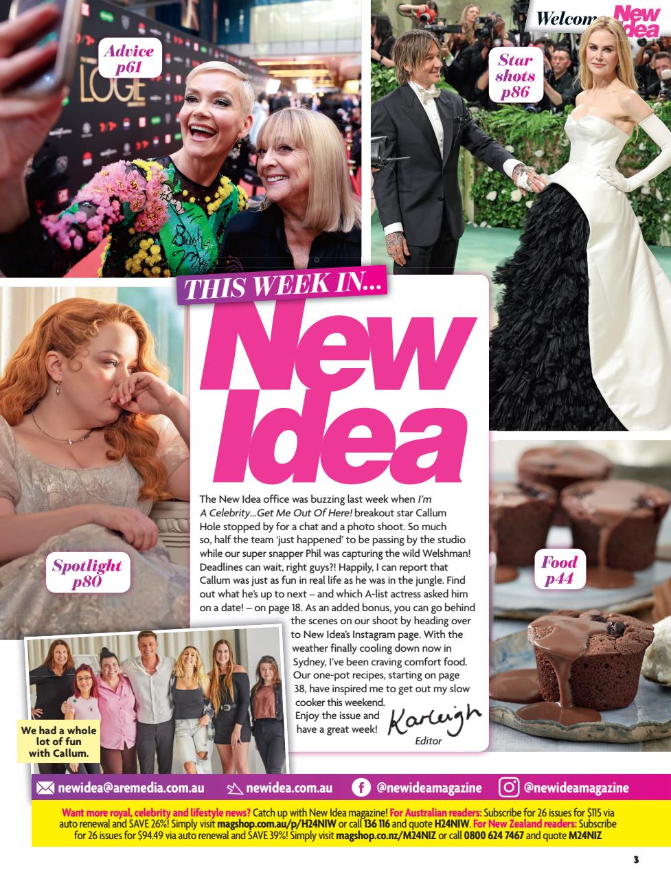 New Idea Preview Pages