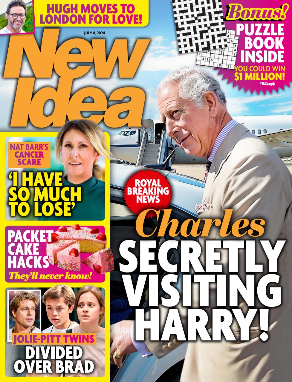 New Idea Preview Pages