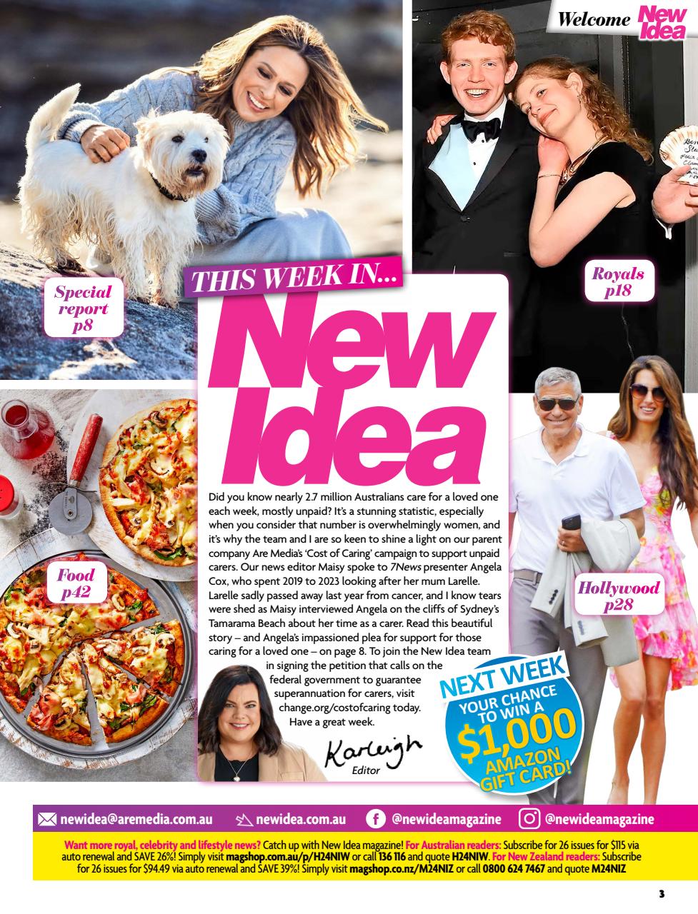 New Idea Preview Pages