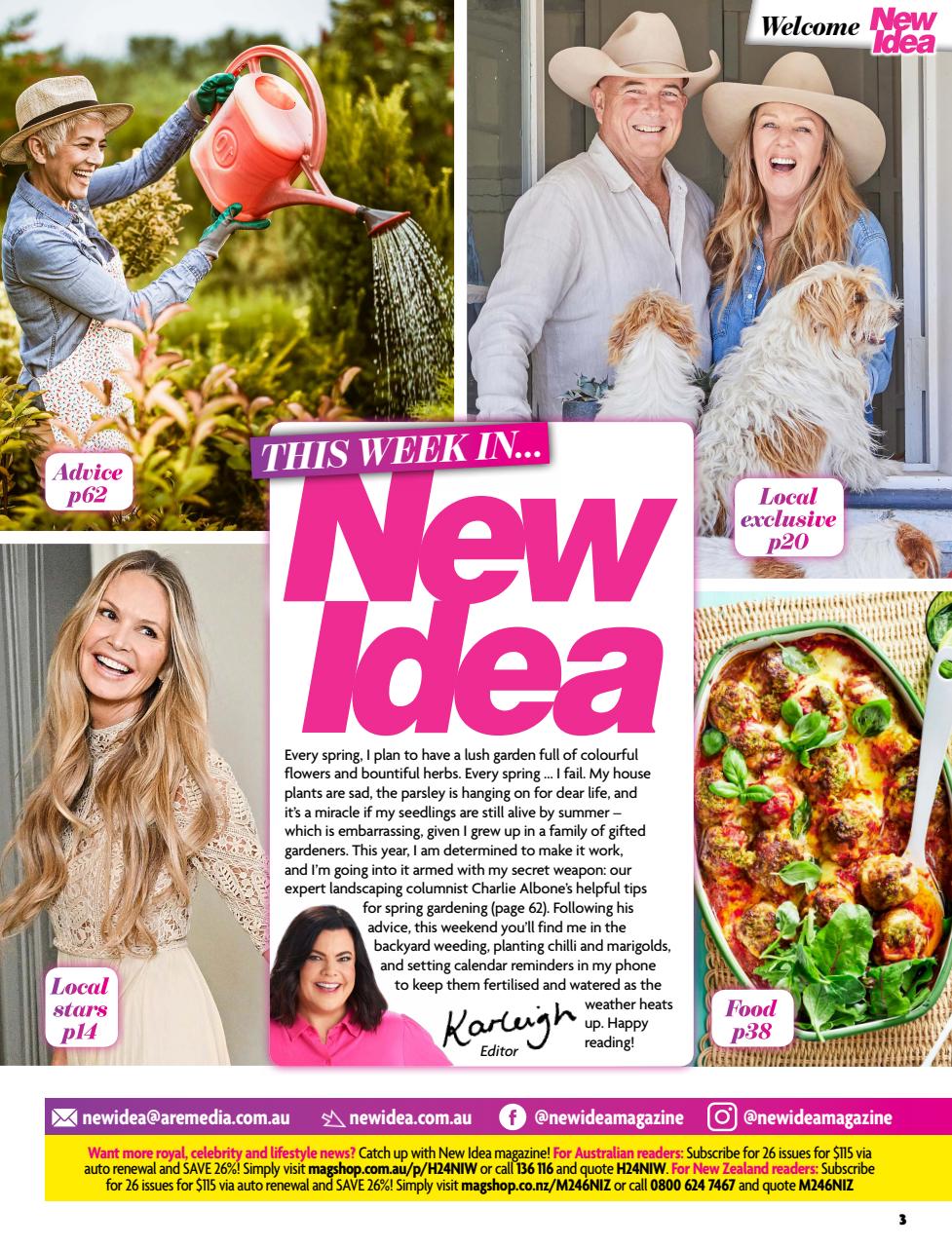 New Idea Preview Pages