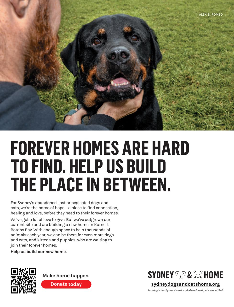 New Idea Preview Pages