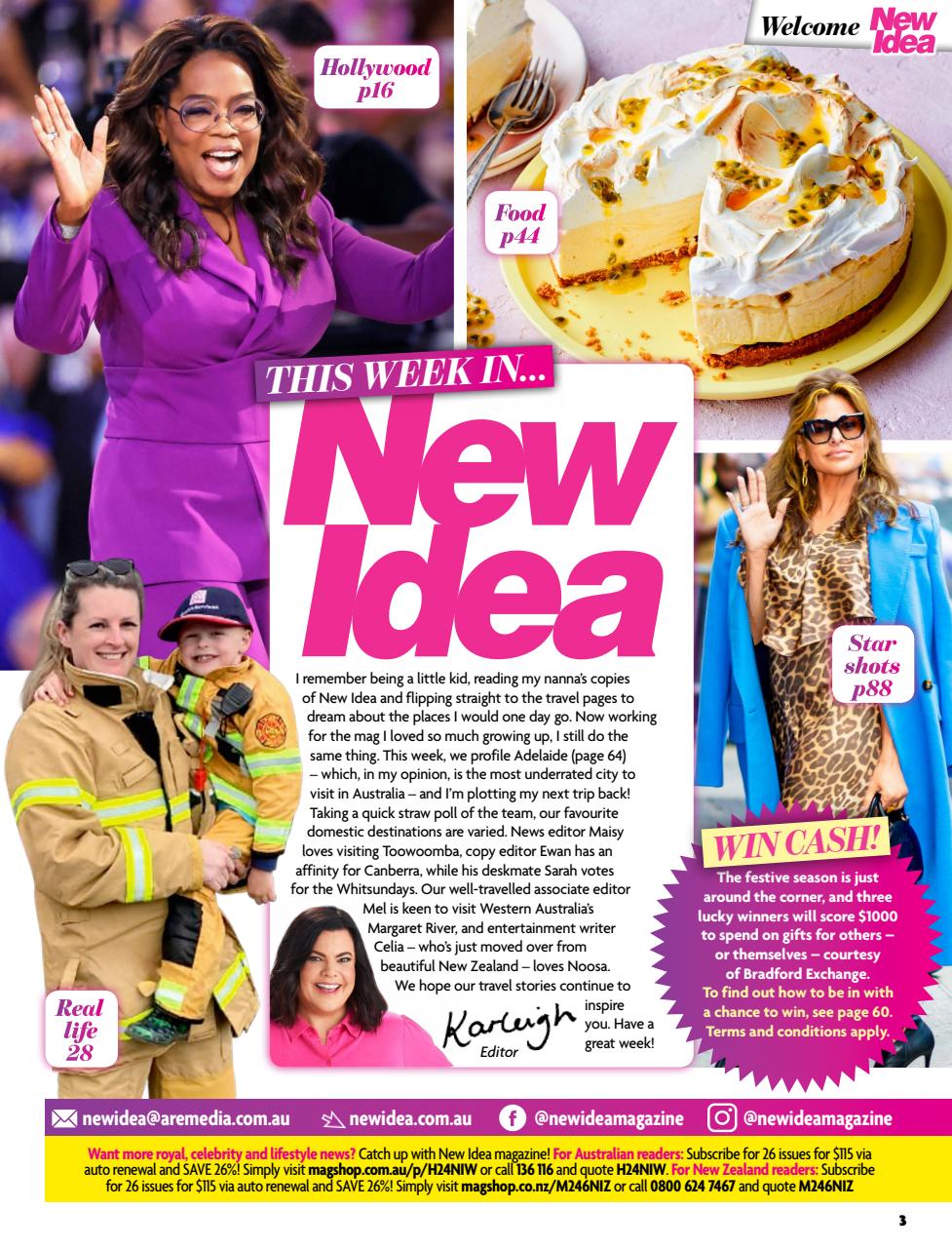 New Idea Preview Pages