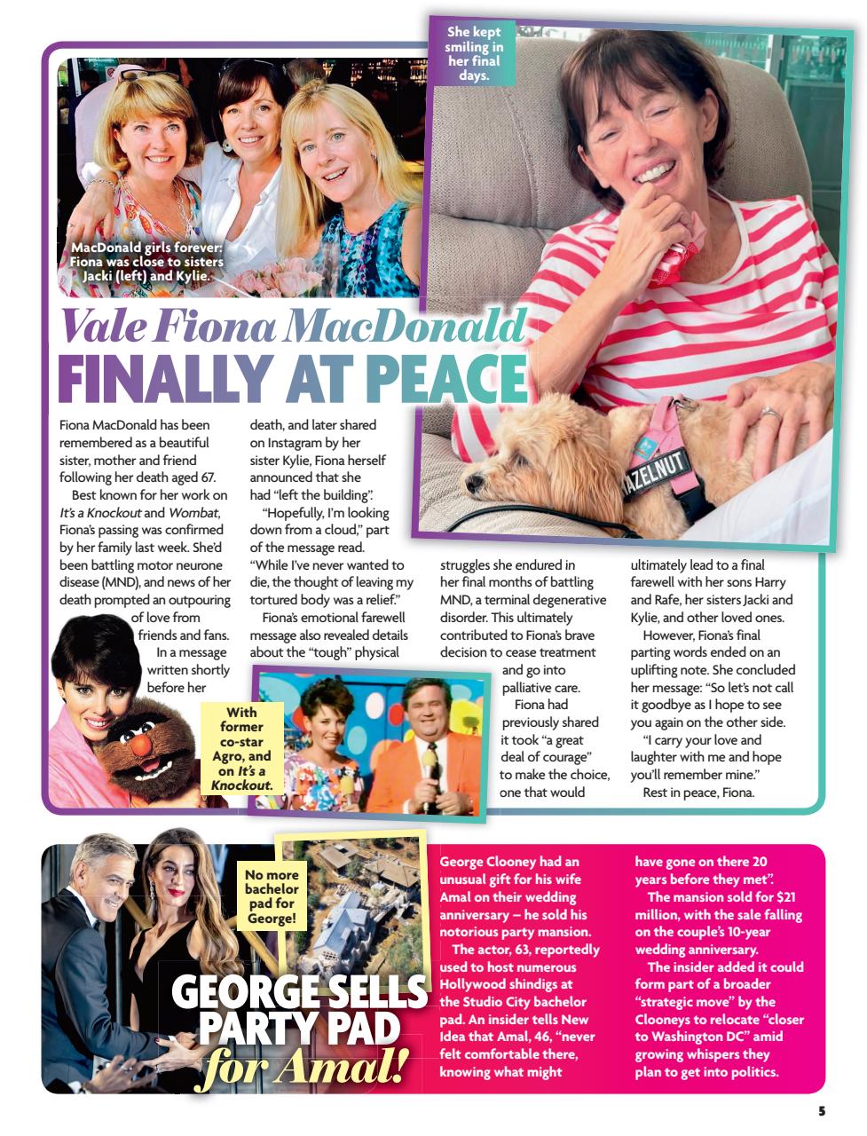 New Idea Preview Pages