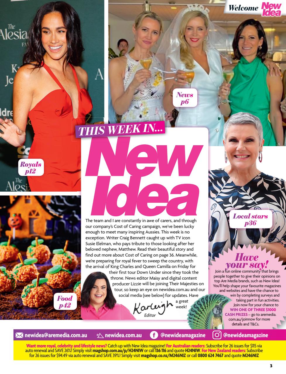 New Idea Preview Pages