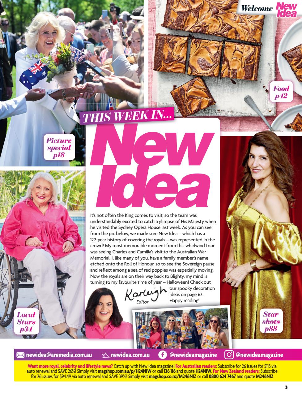 New Idea Preview Pages