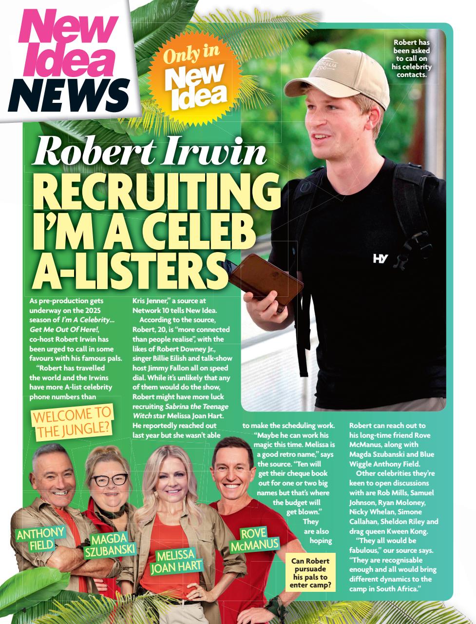 New Idea Preview Pages