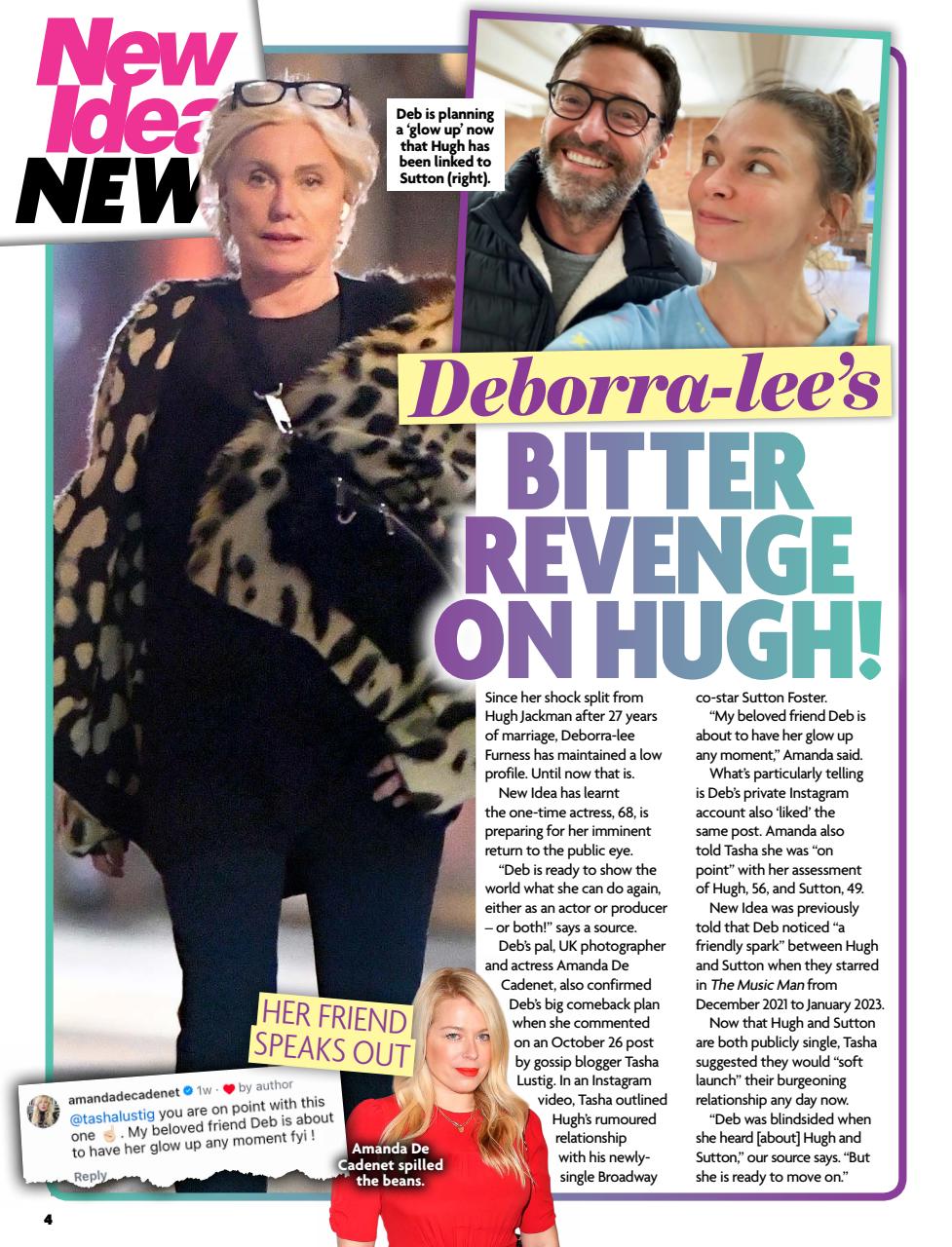 New Idea Preview Pages