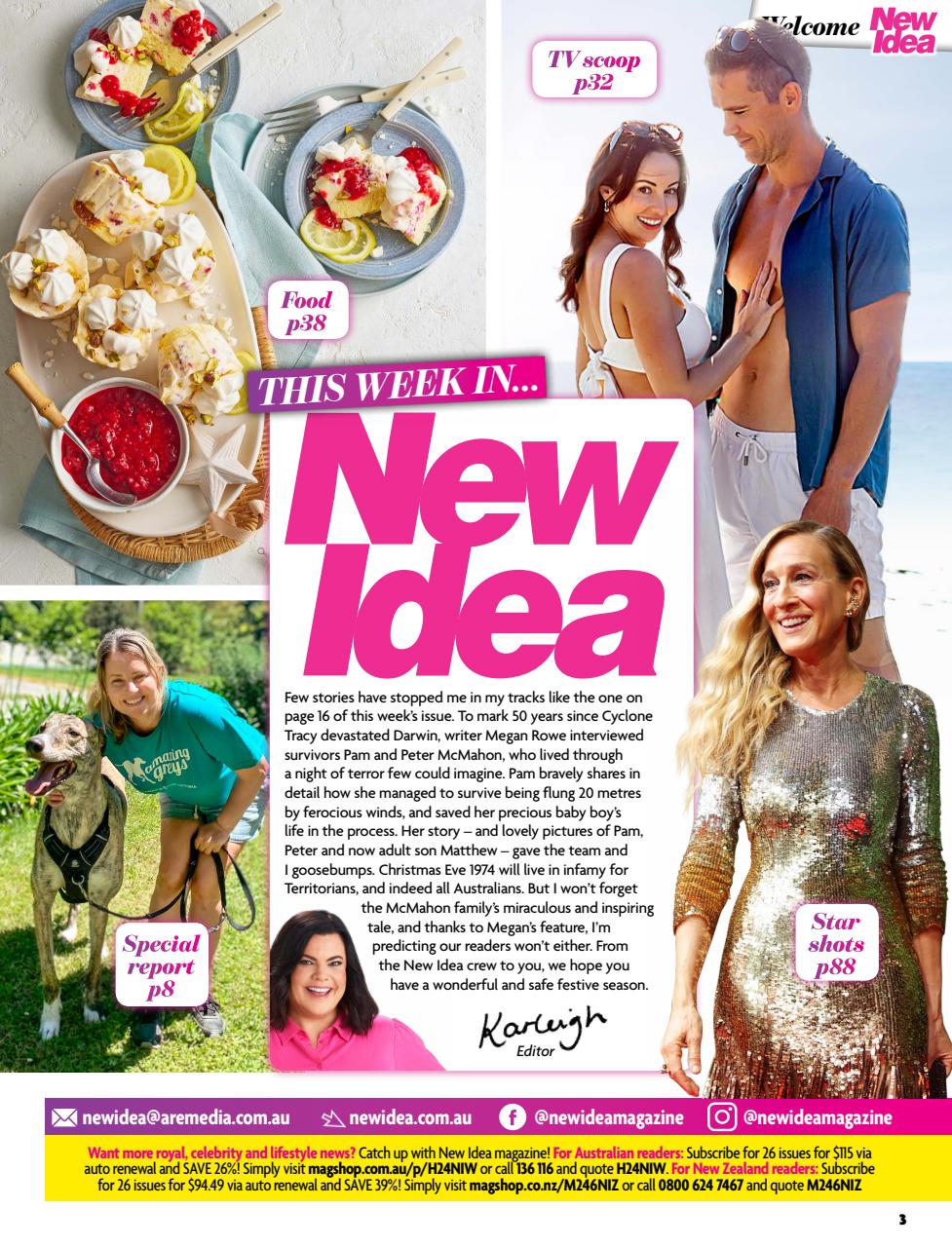 New Idea Preview Pages