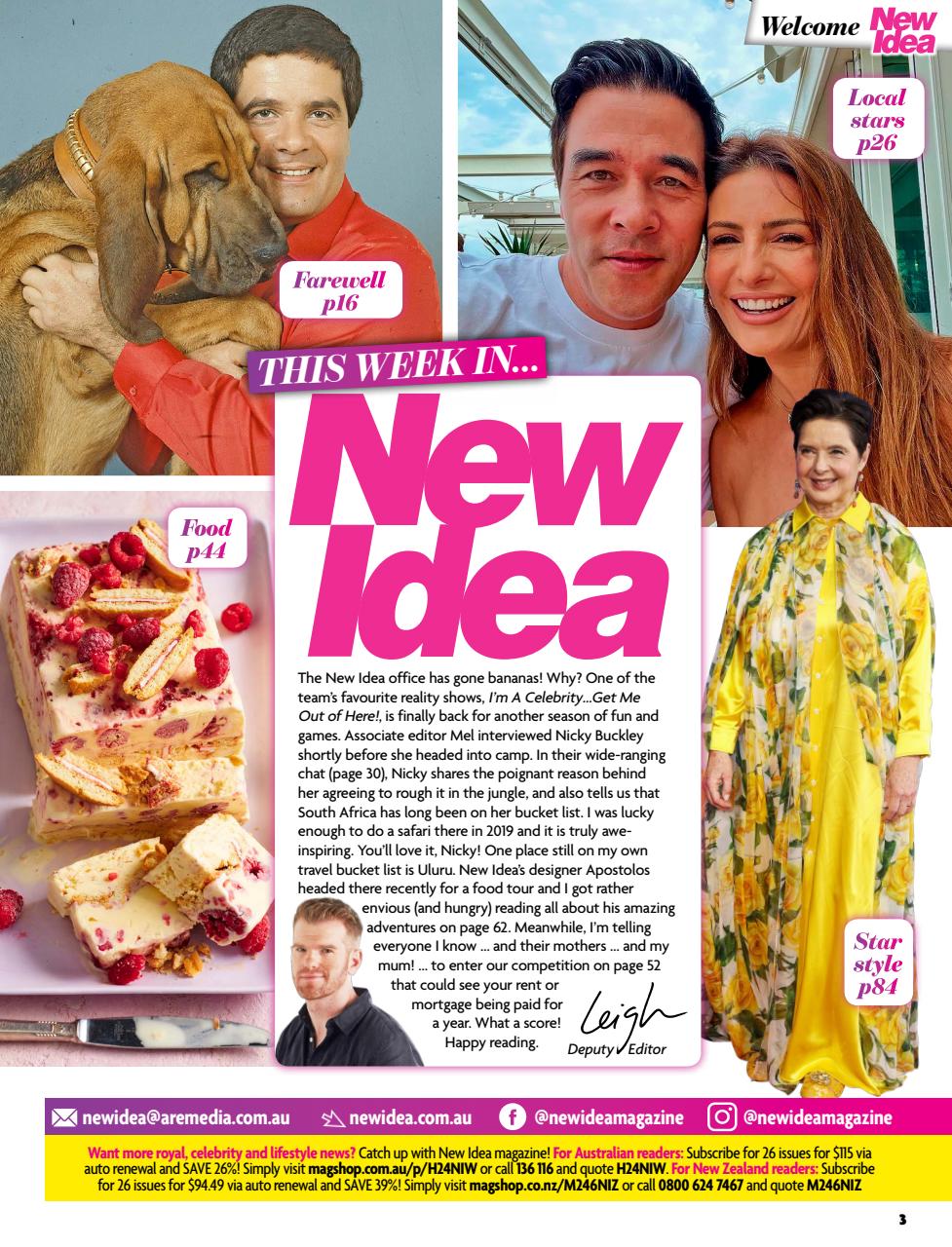 New Idea Preview Pages