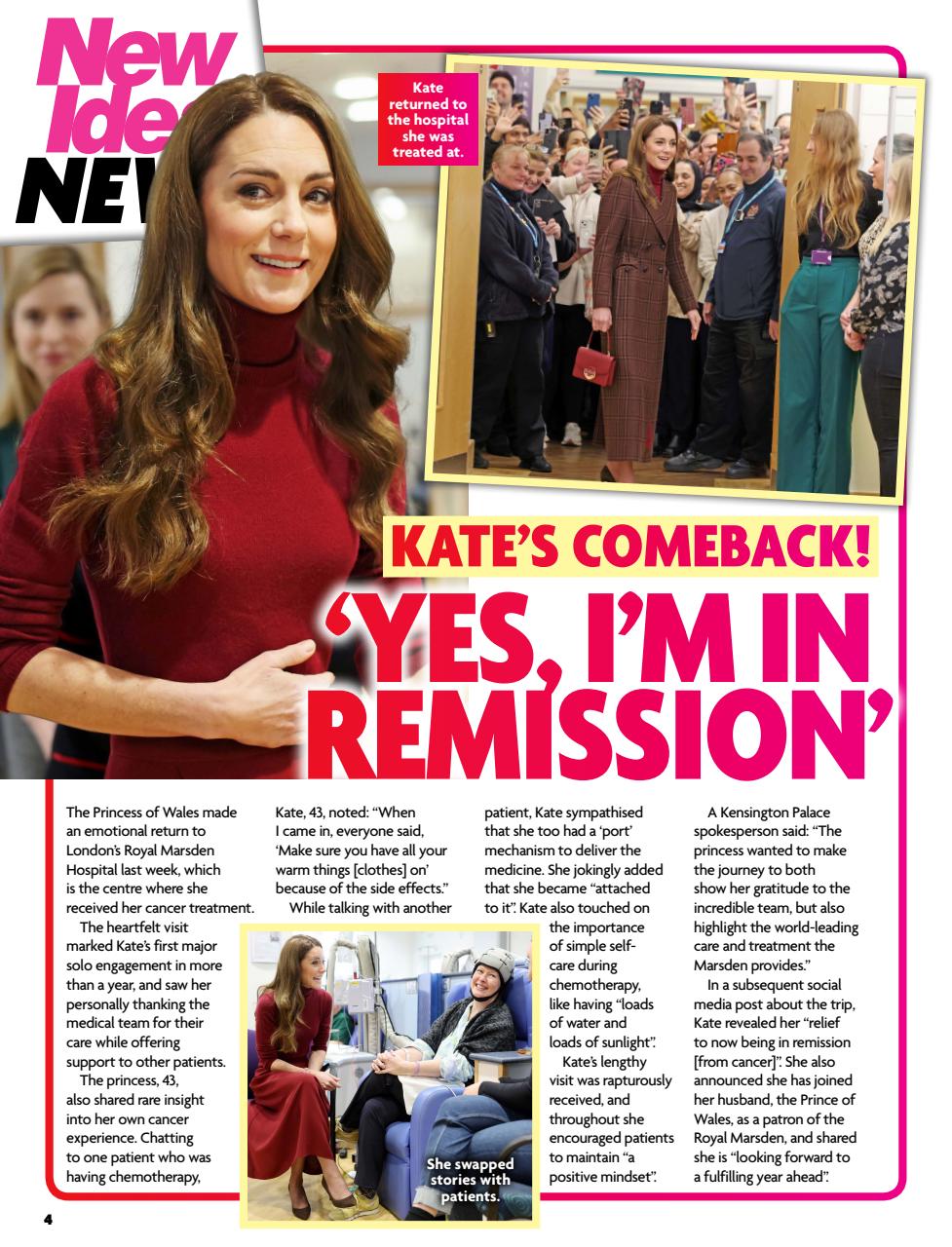 New Idea Preview Pages