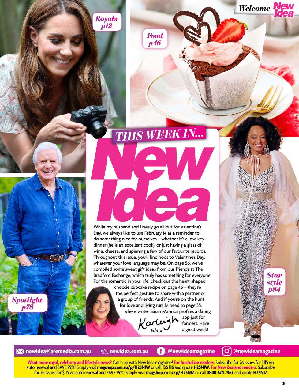 New Idea Preview Pages