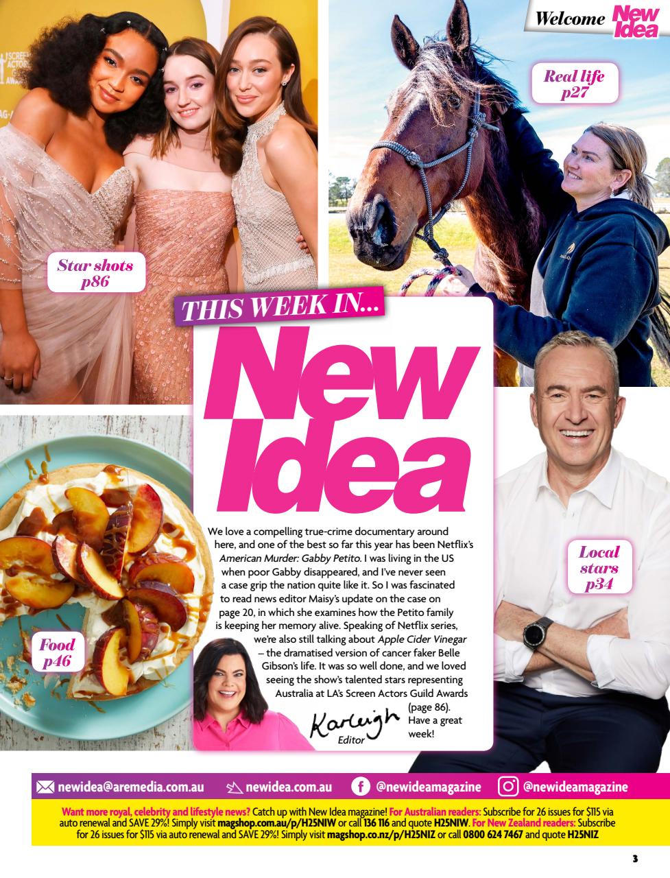 New Idea Preview Pages