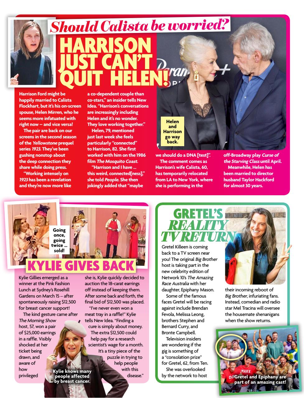 New Idea Preview Pages