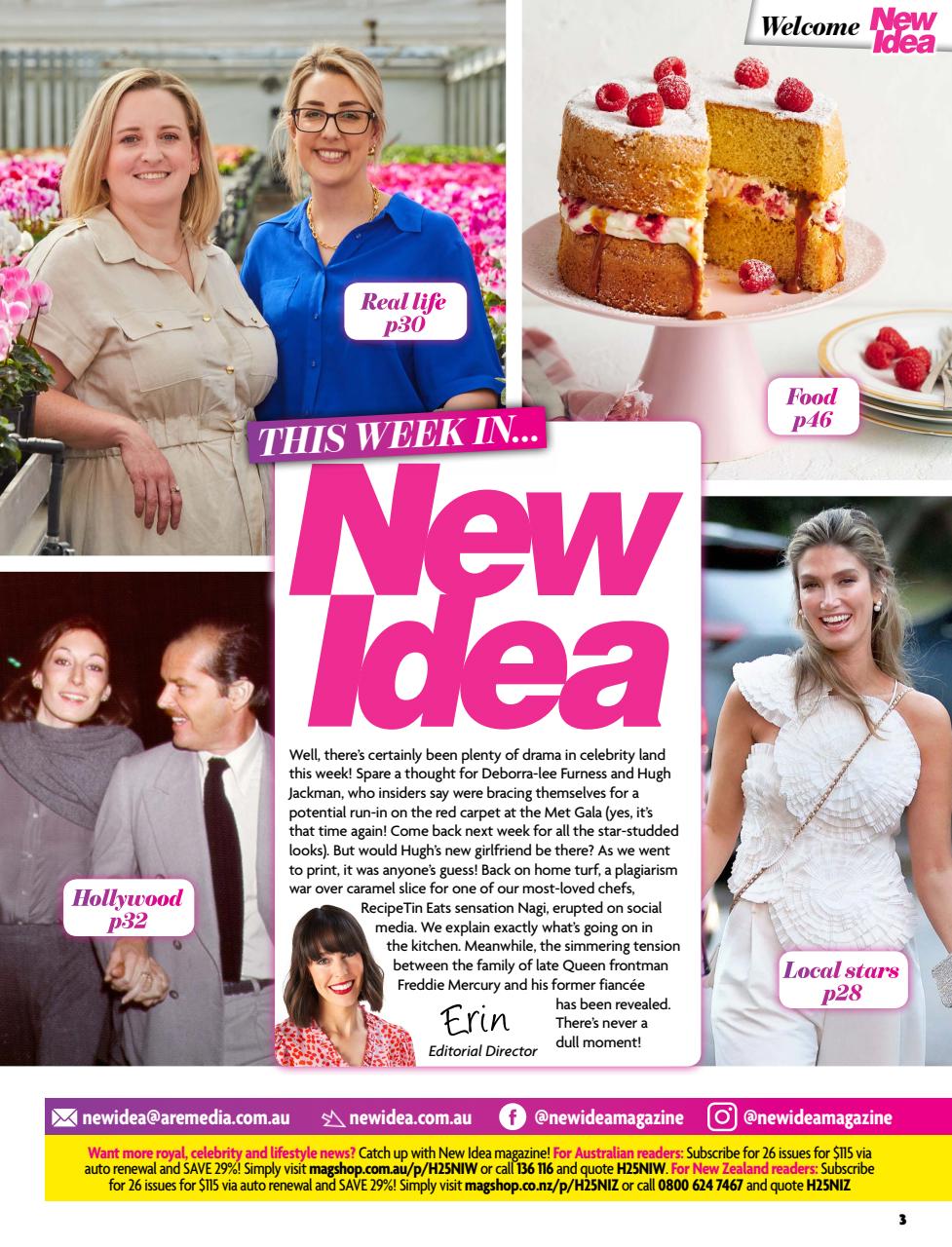 New Idea Preview Pages