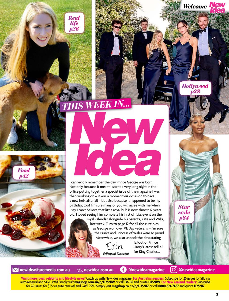 New Idea Preview Pages