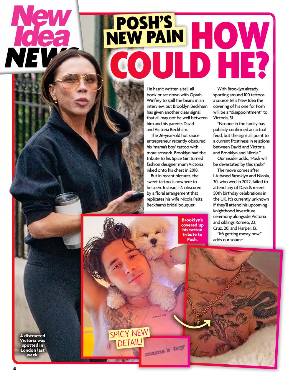 New Idea Preview Pages