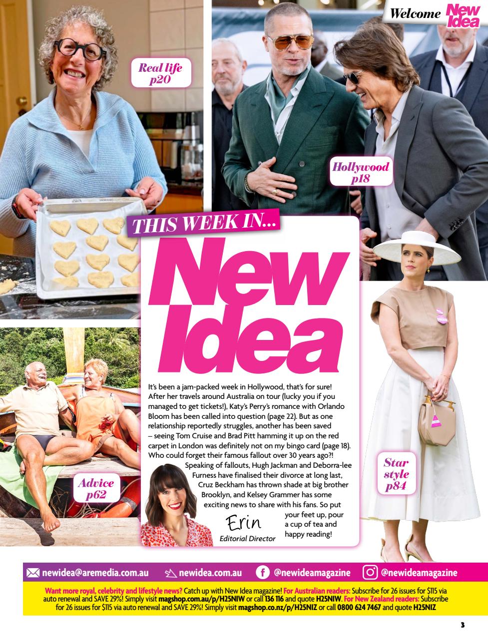 New Idea Preview Pages