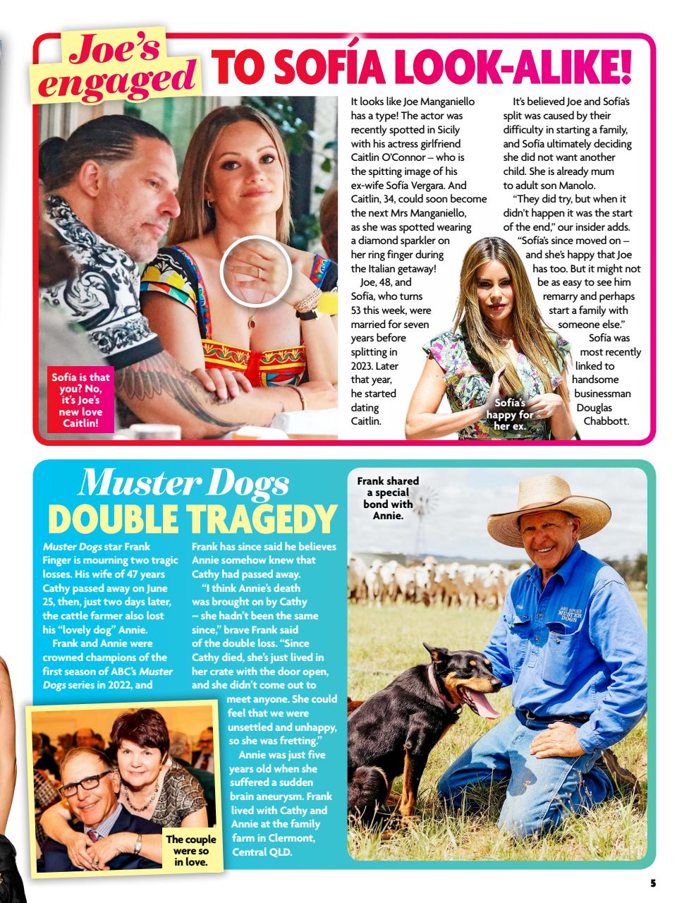 New Idea Preview Pages