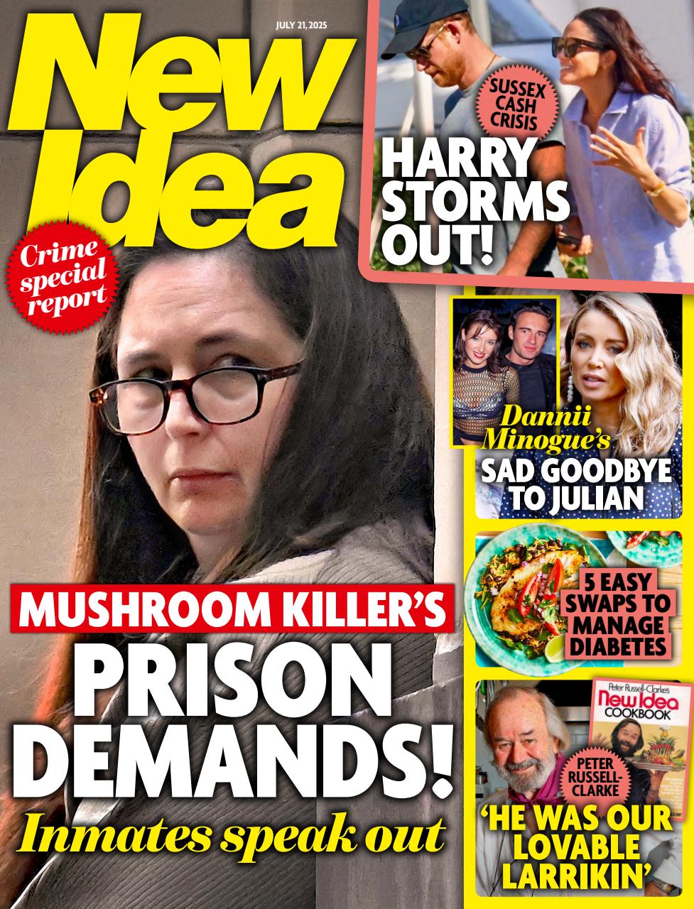 New Idea Preview Pages