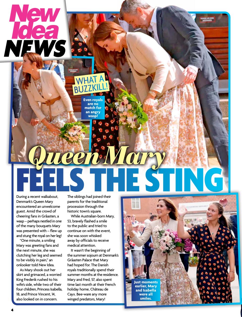 New Idea Preview Pages