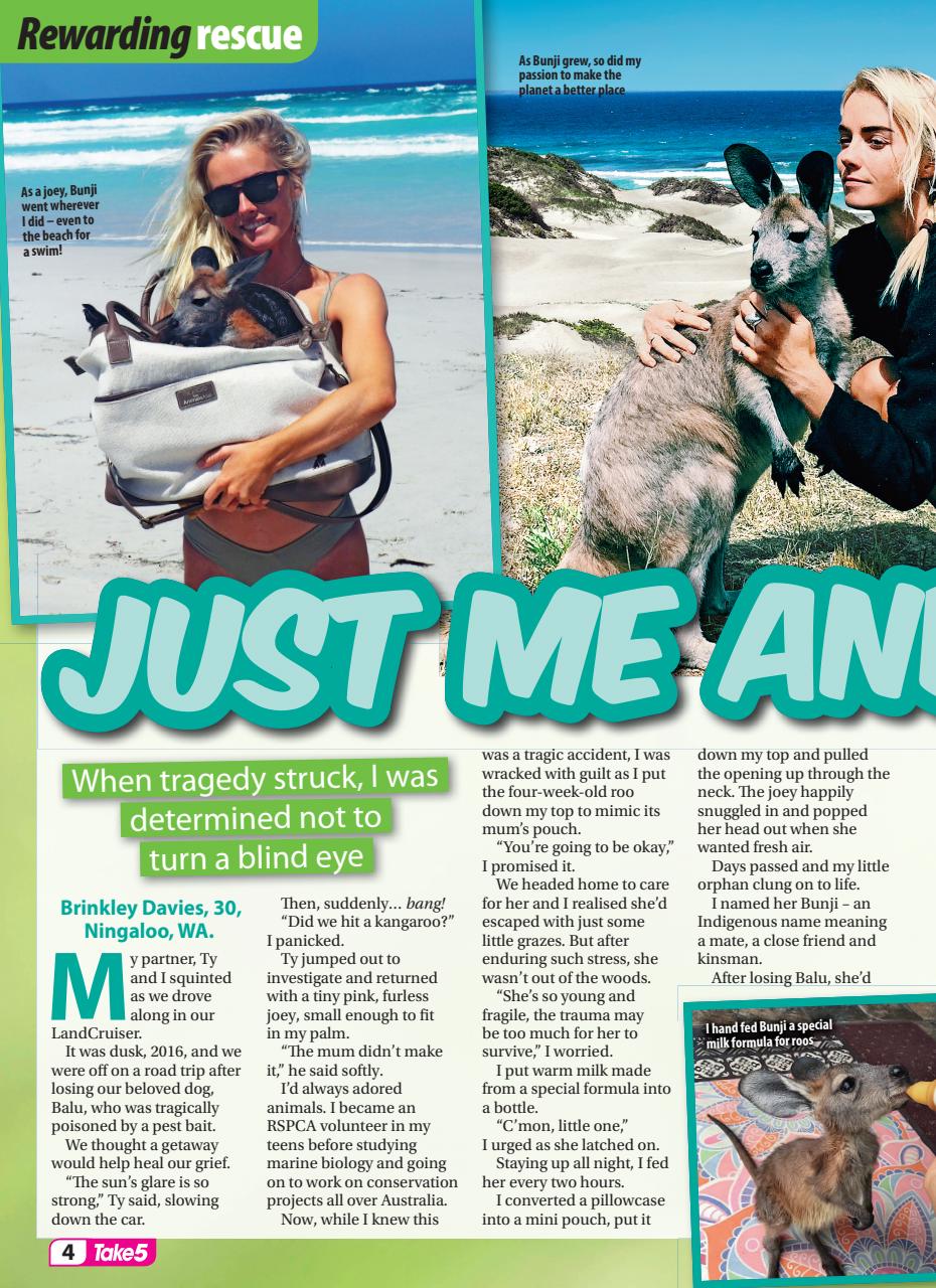 Take 5 Preview Pages