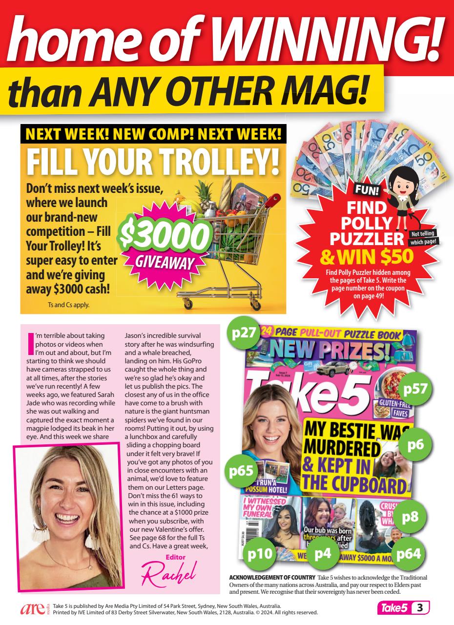 Take 5 Preview Pages