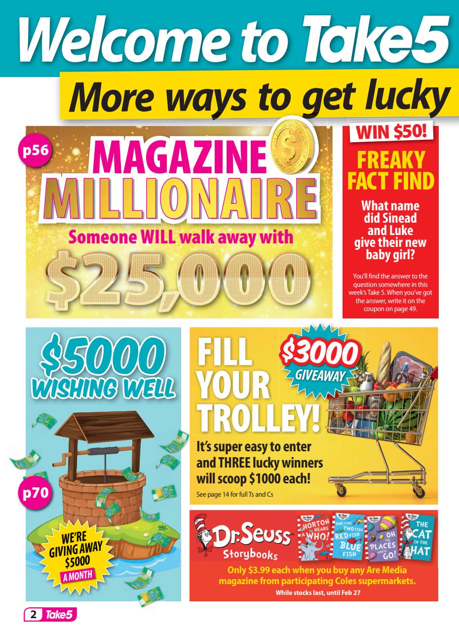 Take 5 Preview Pages