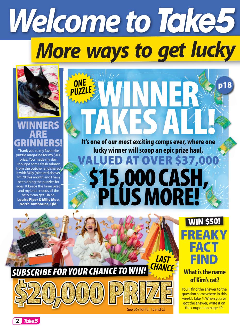 Take 5 Preview Pages