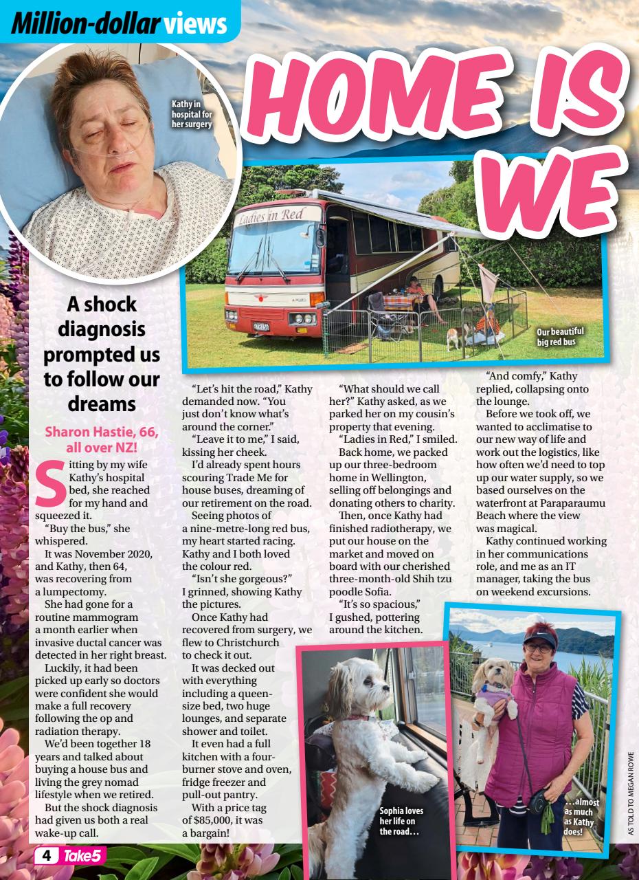 Take 5 Preview Pages