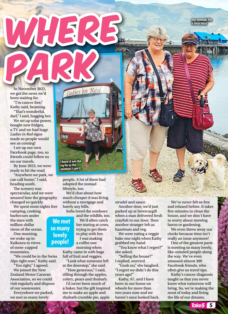 Take 5 Preview Pages