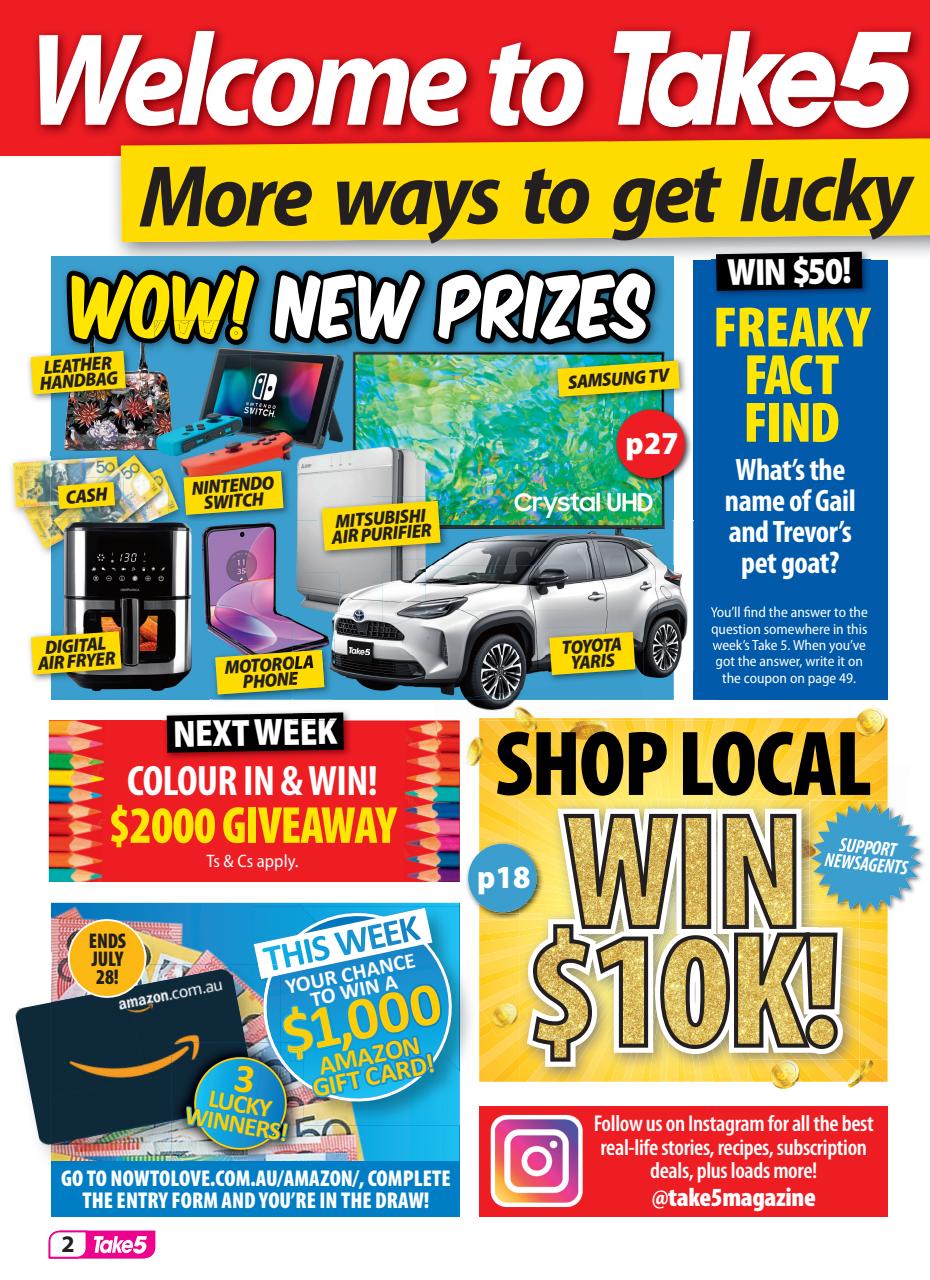 Take 5 Preview Pages