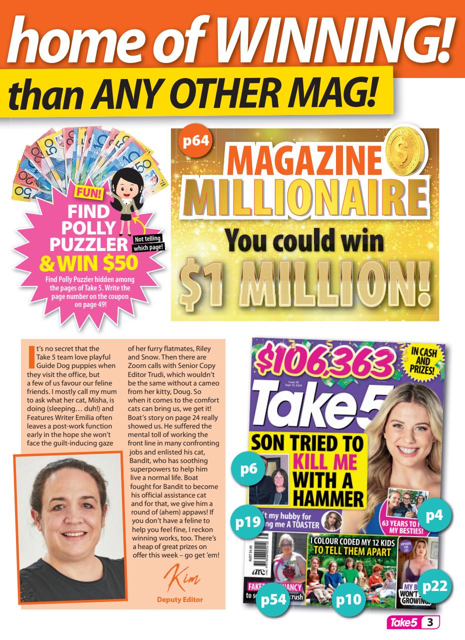 Take 5 Preview Pages