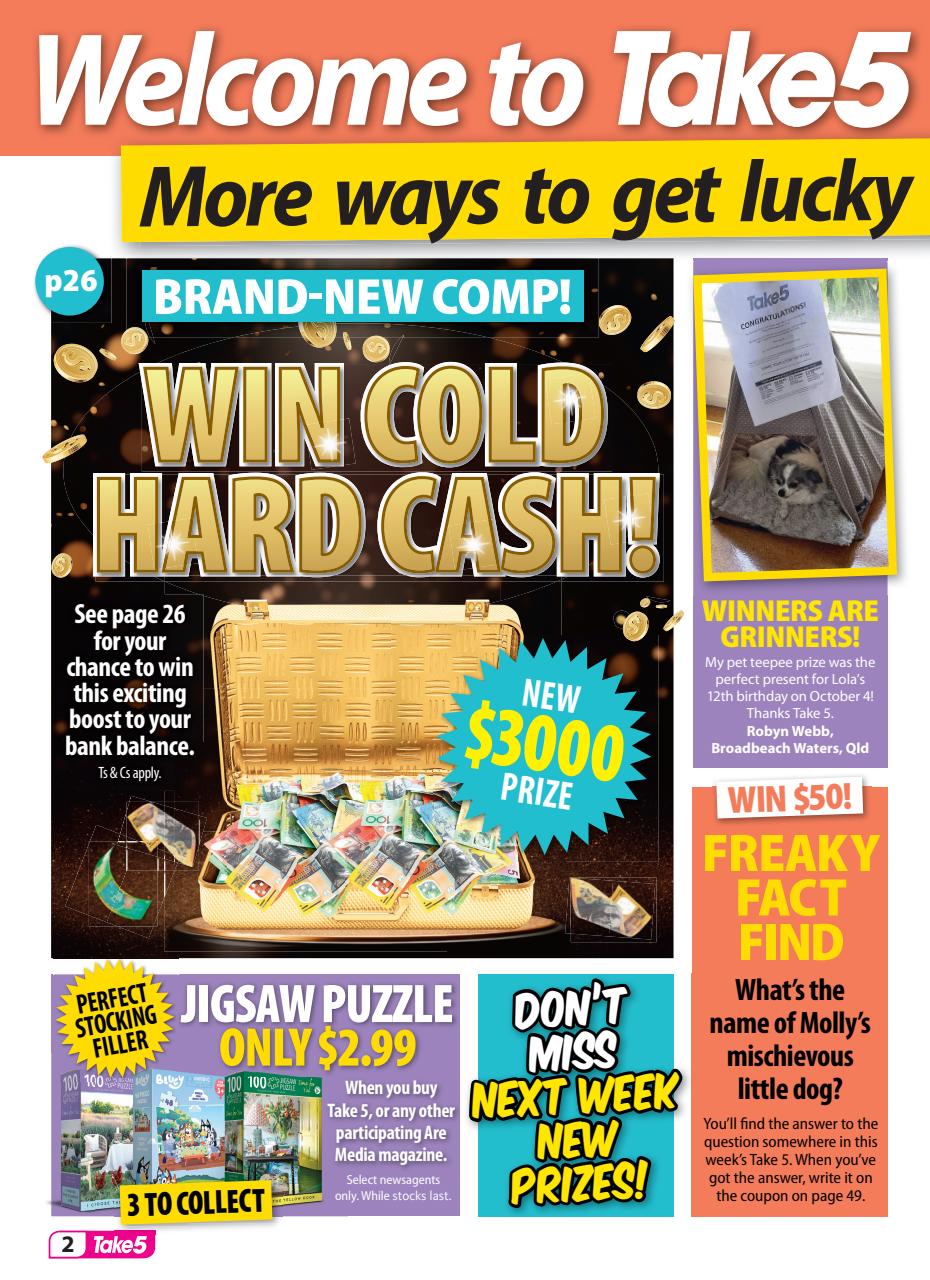 Take 5 Preview Pages