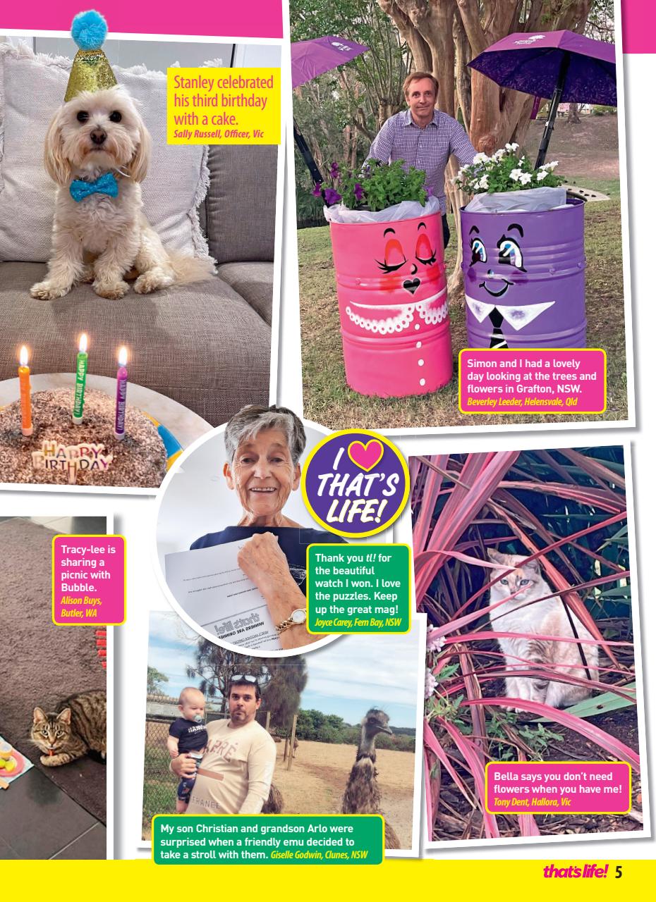 That’s Life! Preview Pages