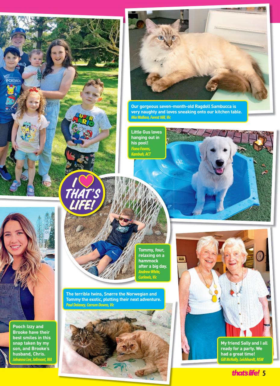 That’s Life! Preview Pages