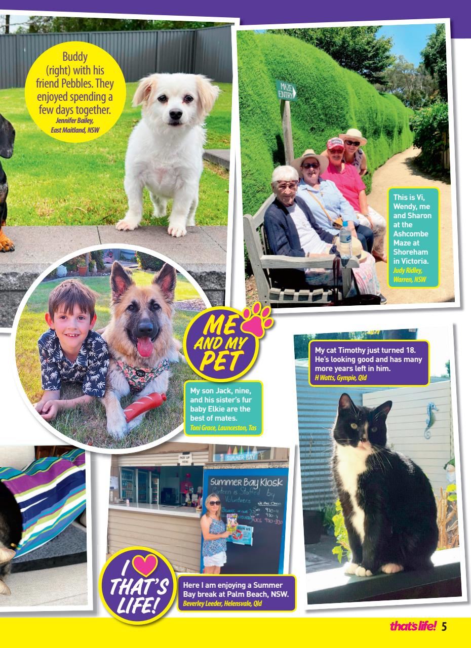 That’s Life! Preview Pages