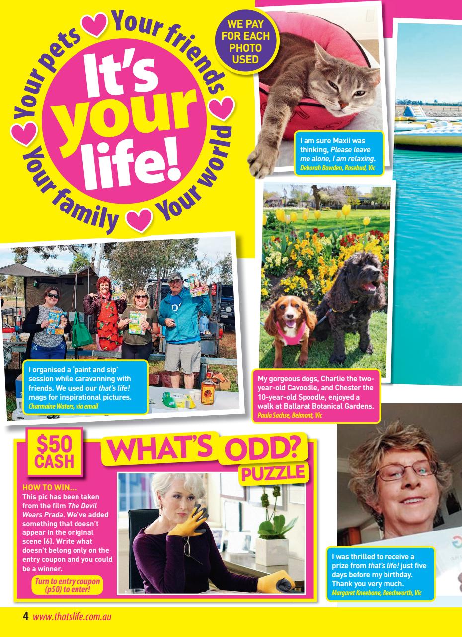 That’s Life! Preview Pages