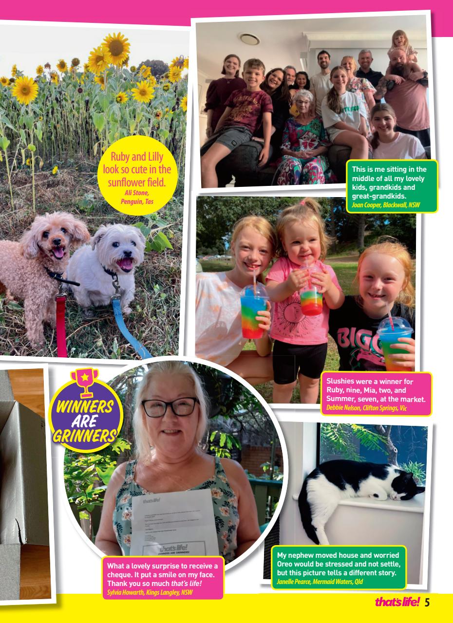 That’s Life! Preview Pages