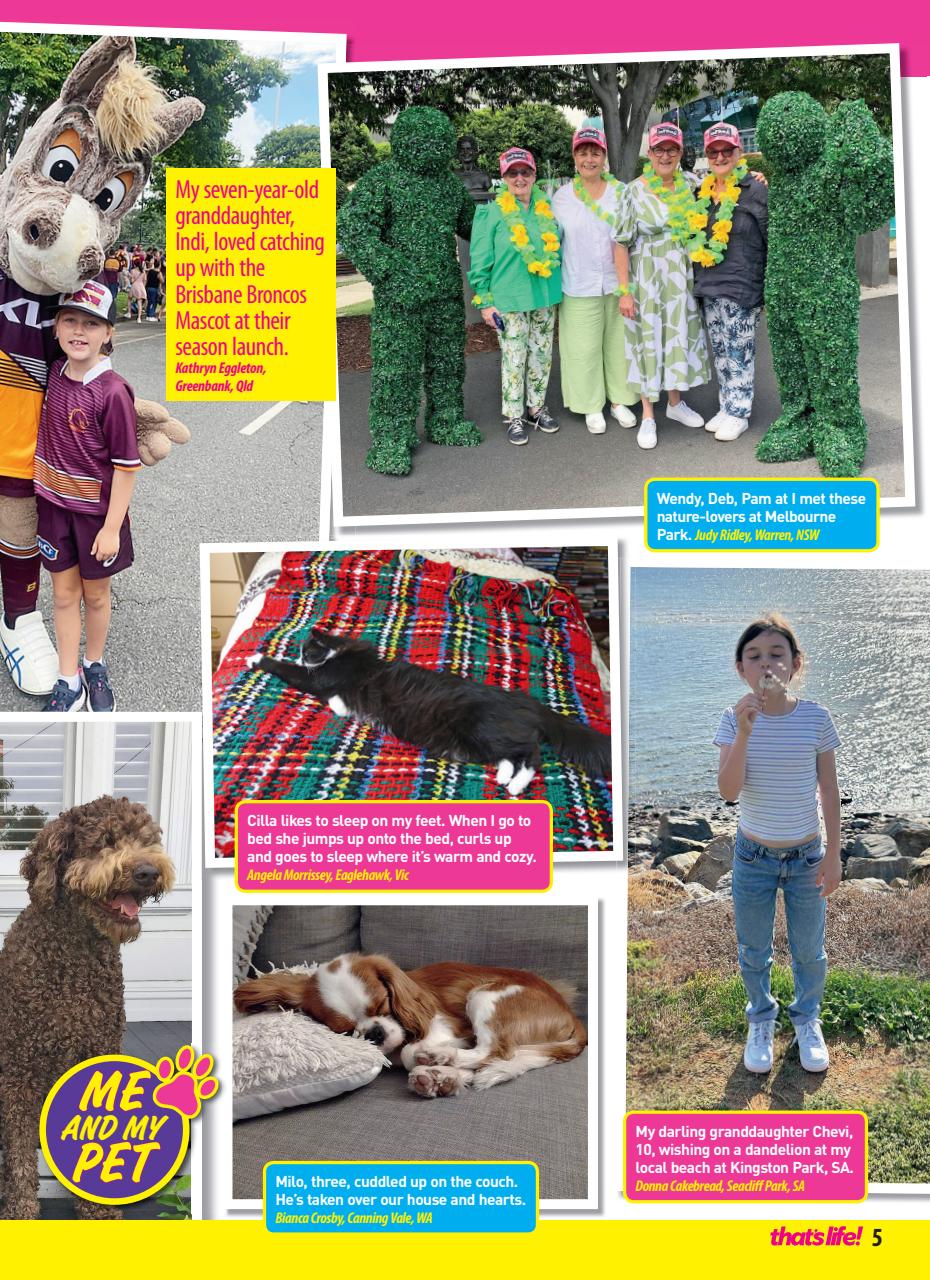 That’s Life! Preview Pages